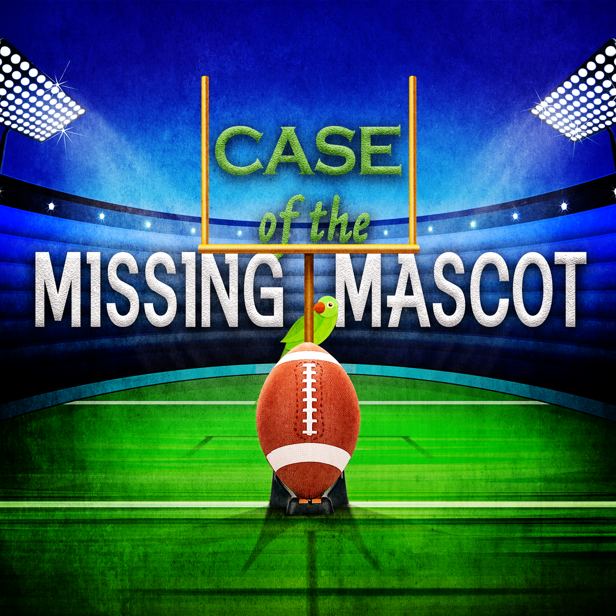 Instant download for the all male football mystery party for kids